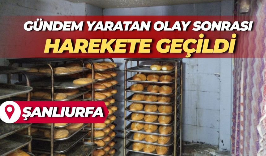 Şanlıurfa'da Ekmek'ten Böcek Çıkmıştı: Ekipler Bakın Ne Yaptı?