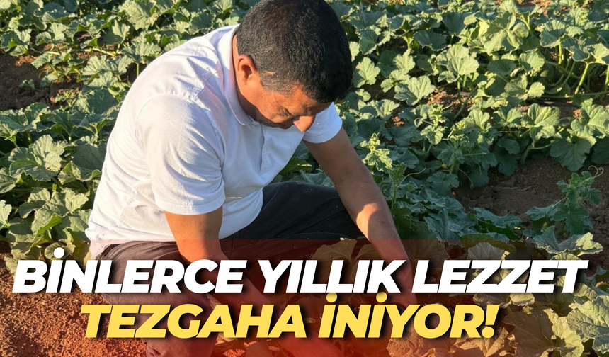 Şanlıurfa’da Binlerce Yıllık Lezzet Tezgaha İniyor!