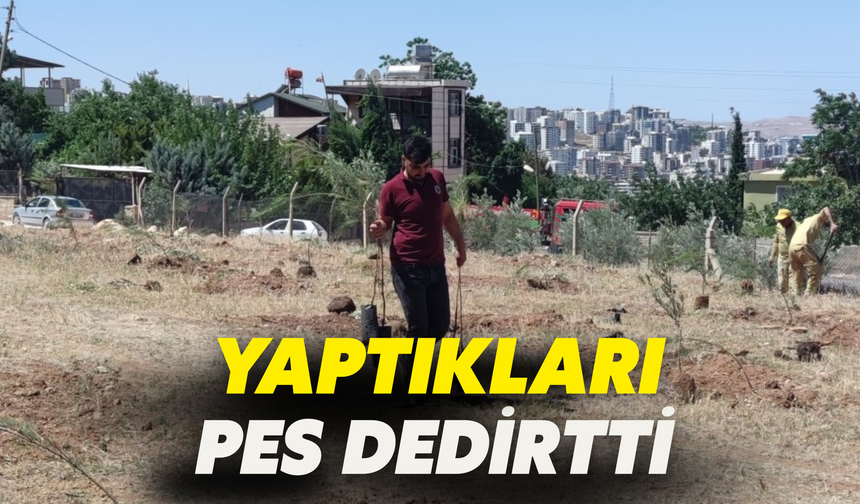 Şanlıurfa’da İşgal Girişimi: Yaptıkları Pes Dedirtti