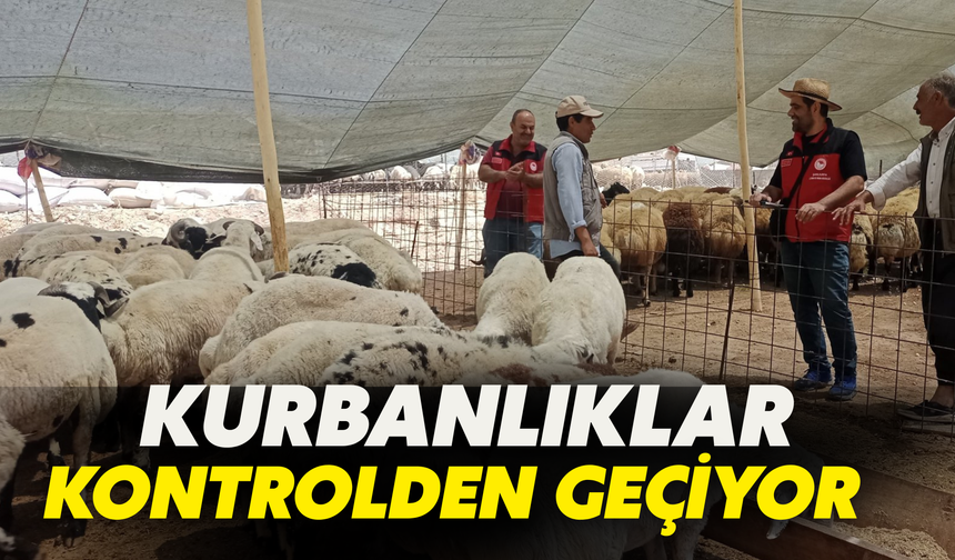 Şanlıurfa’da Kurbanlıklar Kontrolden Geçiyor
