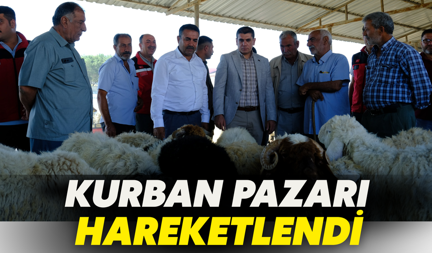 Kurban Pazarı Hareketlendi, Kaymakam Gürbüz'den Sürpriz Ziyaret!
