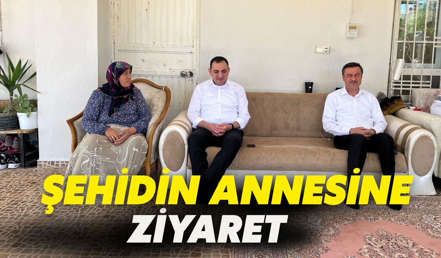Şanlıurfalı Şehidin Annesine Ziyaret