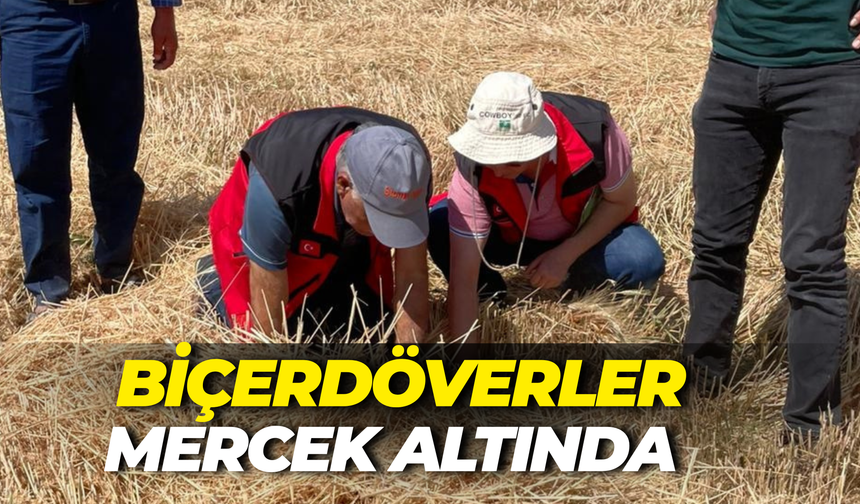 Şanlıurfa’da Biçerdöverler Mercek Altında:  Kayba Geçit Yok