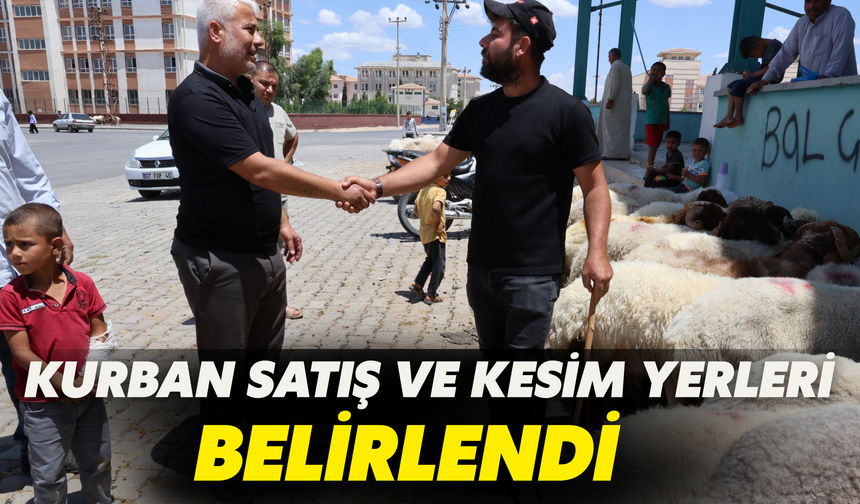 Şanlıurfa’nın İlçesinde Kurban Satış Ve Kesim Yerleri Belirlendi
