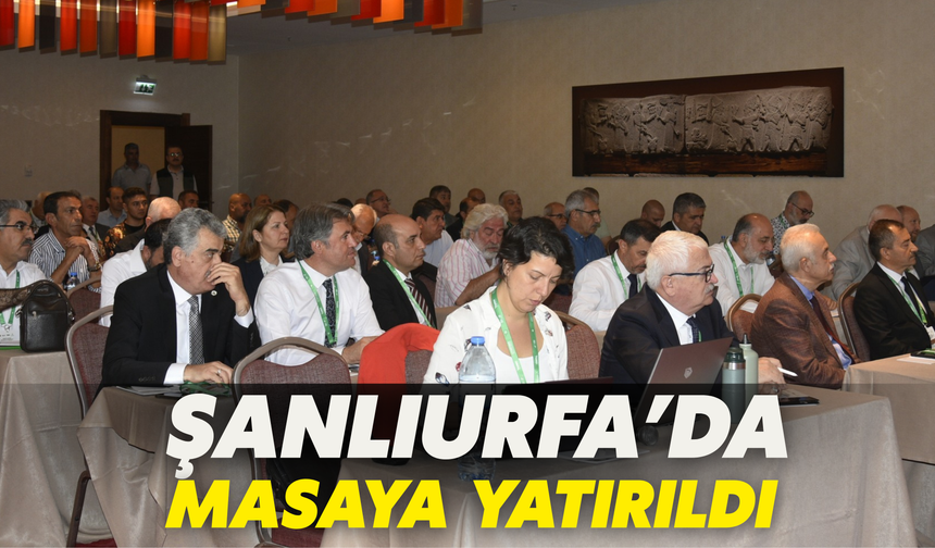 Şanlıurfa’da Masaya Yatırıldı: 2043 Vizyonu Belirleniyor