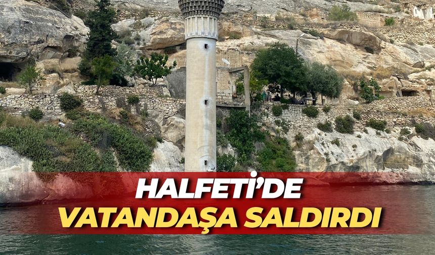 Doğada Nadir Görülüyor, Halfeti’de Vatandaşa Saldırdı