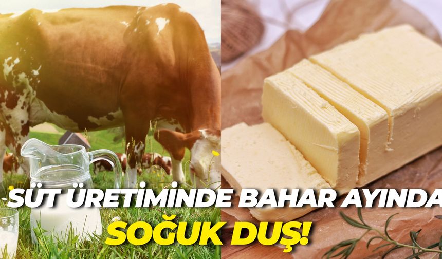 TBMM’de Meclis Başkanlığı Seçimi Başladı: 5 Aday Yarışıyor