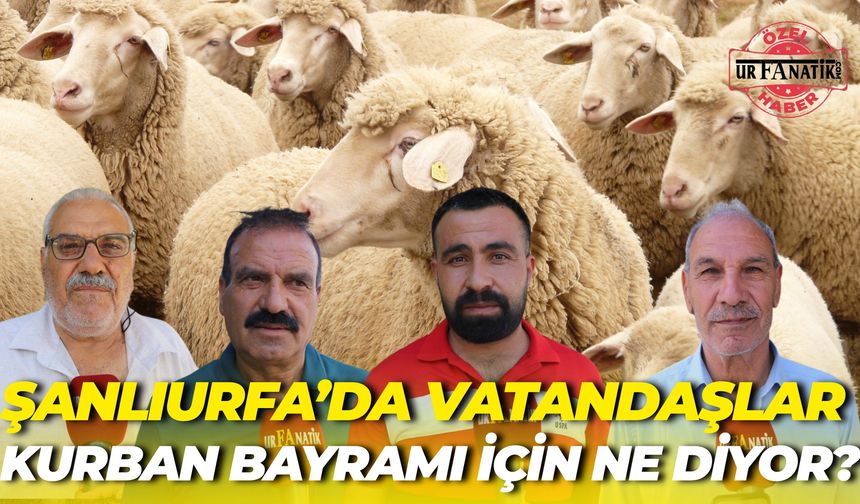Şanlıurfa’da Vatandaşlar Kurban Bayramı İçin Ne Diyor?