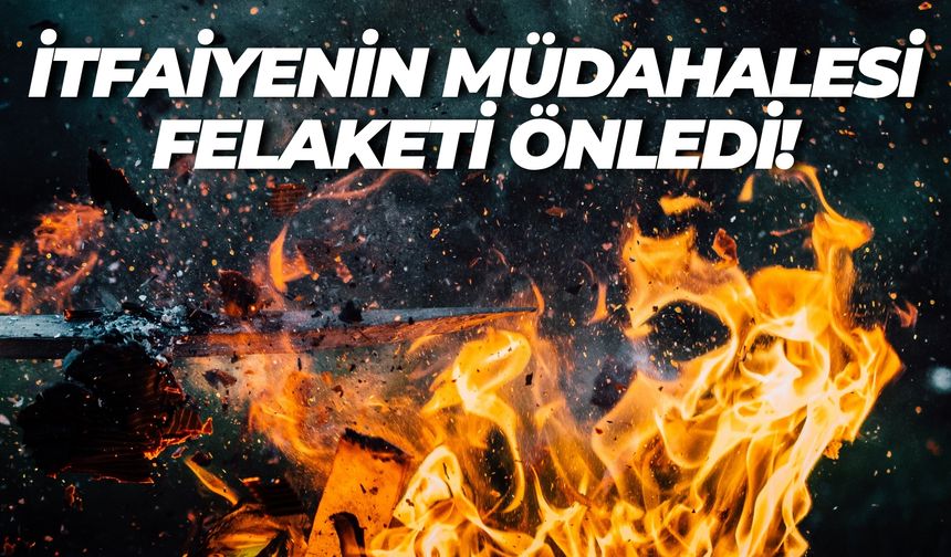 Korku Dolu Dakikalar! Şanlıurfa Eyyübiye’de Mahalle Sokağa Döküldü
