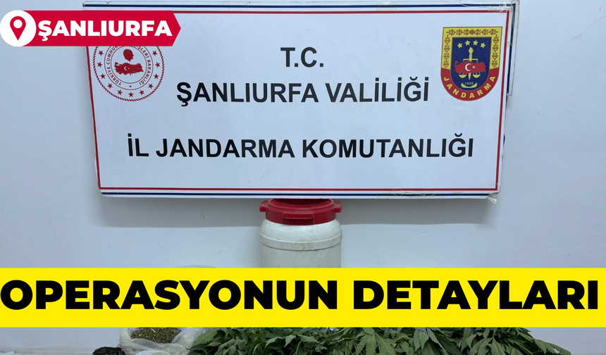 Şanlıurfa’da Uyuşturucu Operasyonu: Kenevir ve Esrar Ele Geçirildi