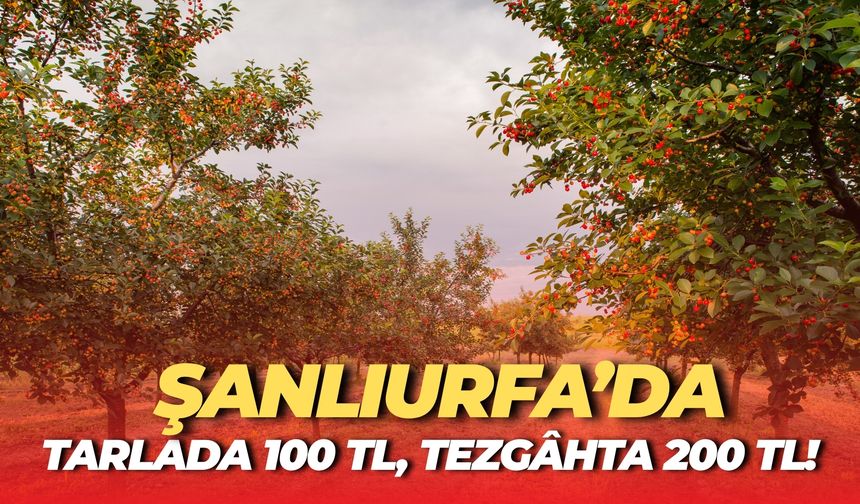 Şanlıurfa’da Bu Meyve El Yakıyor: Tarlada 100 TL, Tezgâhta 200 TL!