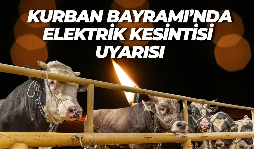 Kurban Bayramı'nın İlk Gününde Şanlıurfa’da Elektrik Kesintisi