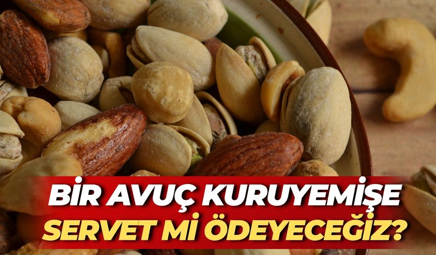Bir Avuç Kuruyemişe Servet mi Ödeyeceğiz?