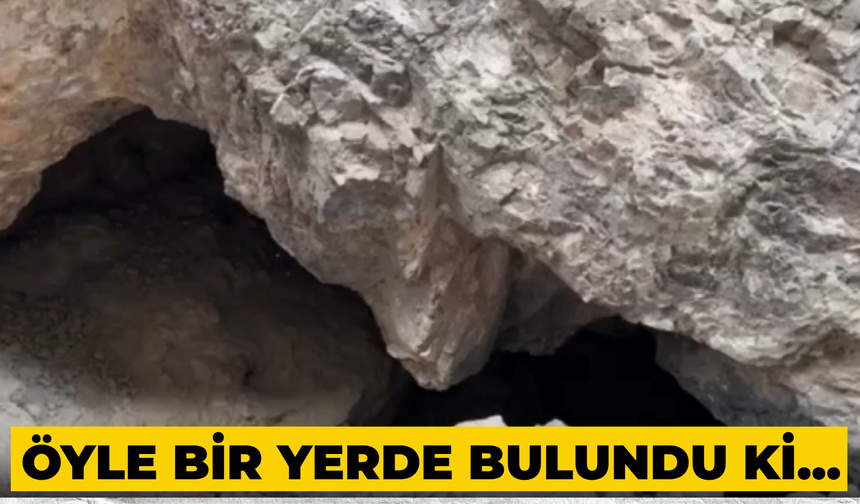 Derinlerde Saklanıyorlardı! Öyle Bir Yerde Bulundu ki…