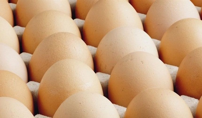Mayıs Ayında Fiyatı En Çok Artan ve Düşen Ürünler Belli Oldu