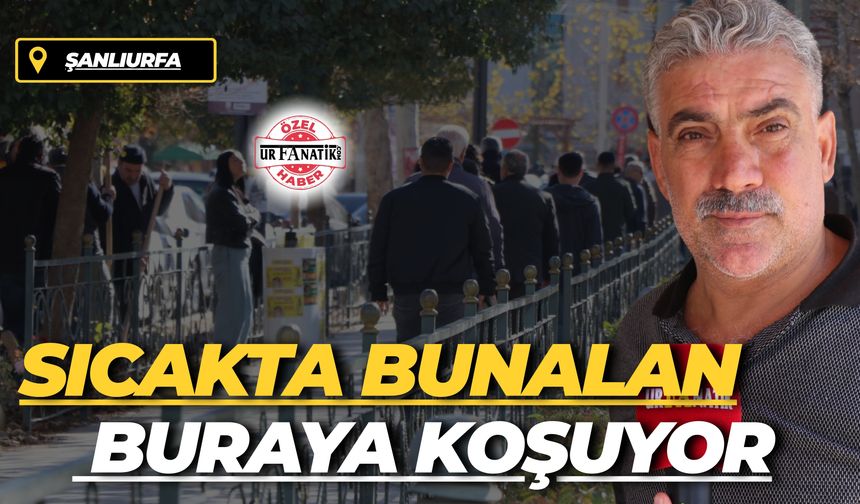 Şanlıurfa'da Sıcakta Bunalan Buraya Koşuyor: Her Sokakta Karşınıza Çıkabilir