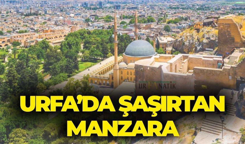 Önceden Almak İçin Sıraya Girilirdi… Şimdi Çöpe Atılıyor