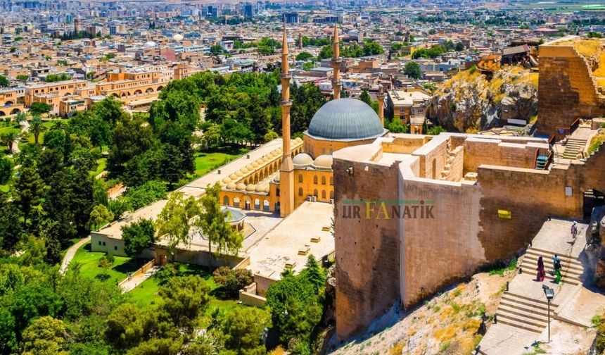Önceden Almak İçin Sıraya Girilirdi… Şimdi Çöpe Atılıyor