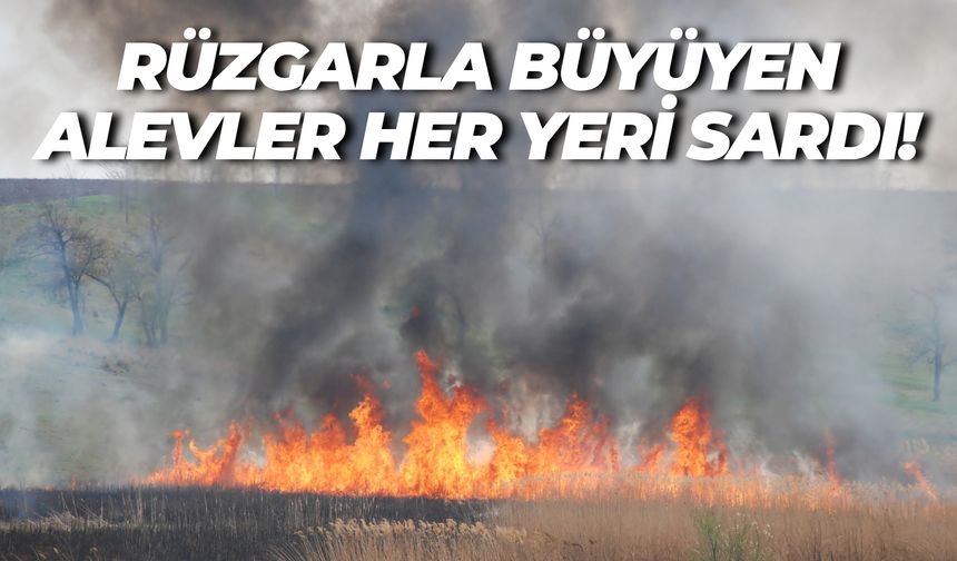 Şanlıurfa Suruç’ta Korku Dolu Anlar: Ekinler Alevlere Teslim Oldu!