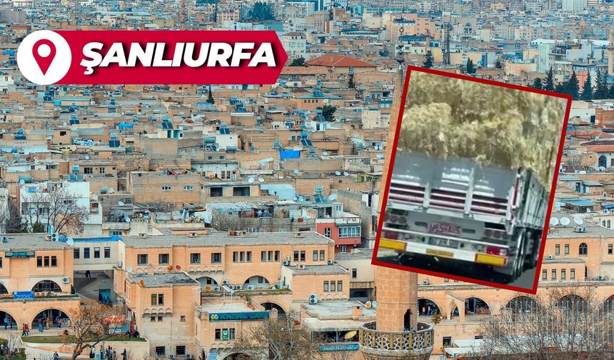 Şanlıurfa'da Çekilen Görüntülere Tepki Yağdı