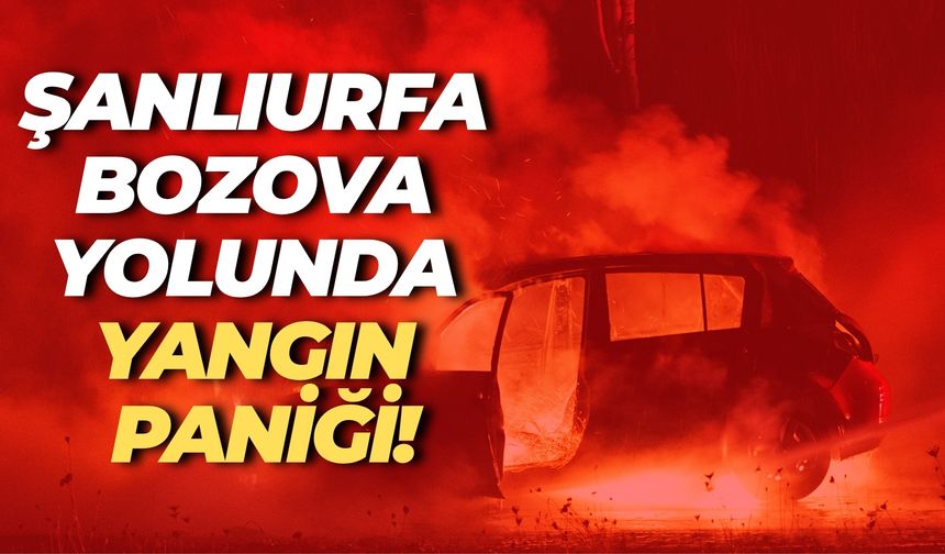 Şanlıurfa Bozova’da Kamyonet Küle Döndü!