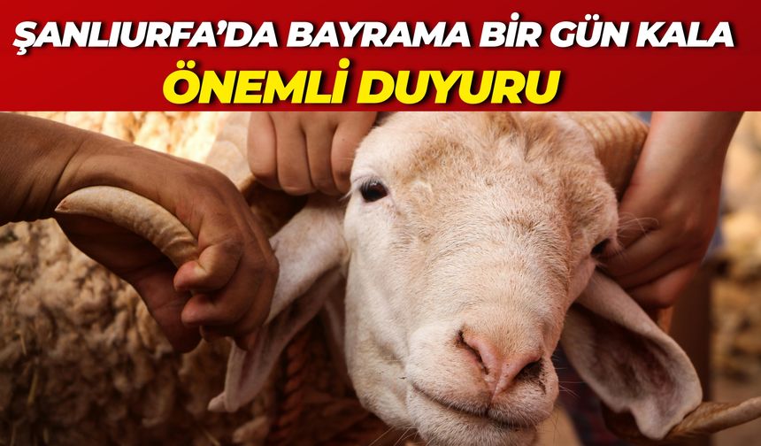 Şanlıurfa Bozova’da Kurban Kesim Yerleri Belli Oldu