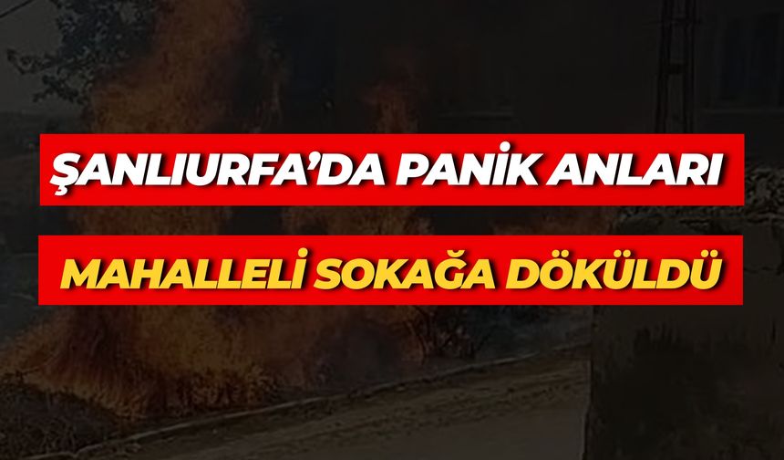 Şanlıurfa Bozova'da Ot Yangını Paniğe Neden Oldu