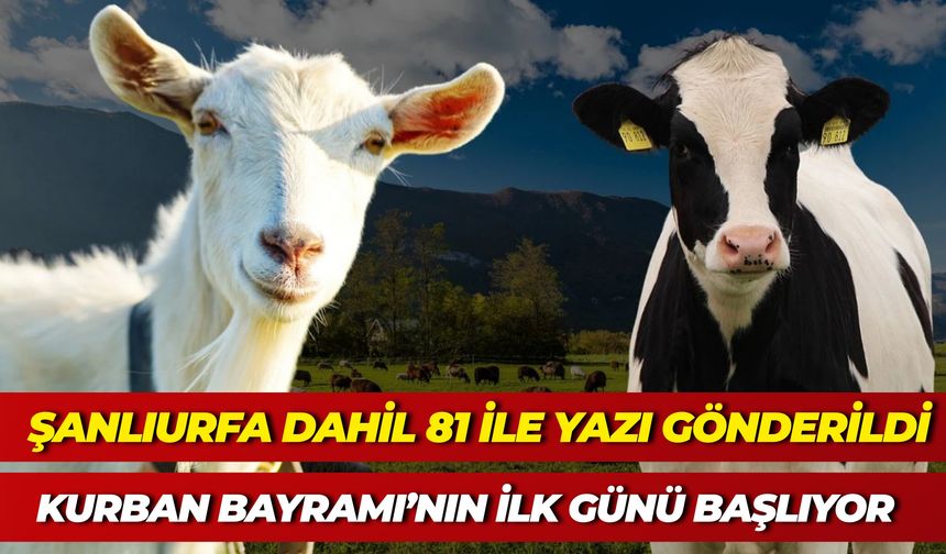 Şanlıurfa Dahil 81 İle Yazı Gönderildi: Kurban Bayramı’nın İlk Günü Başlıyor
