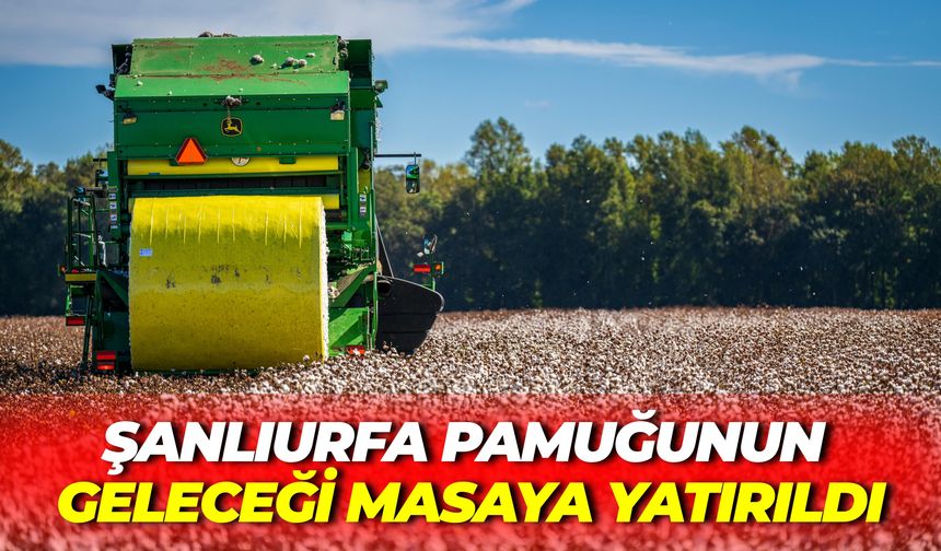Şanlıurfa Pamuğunun Geleceği Masaya Yatırıldı