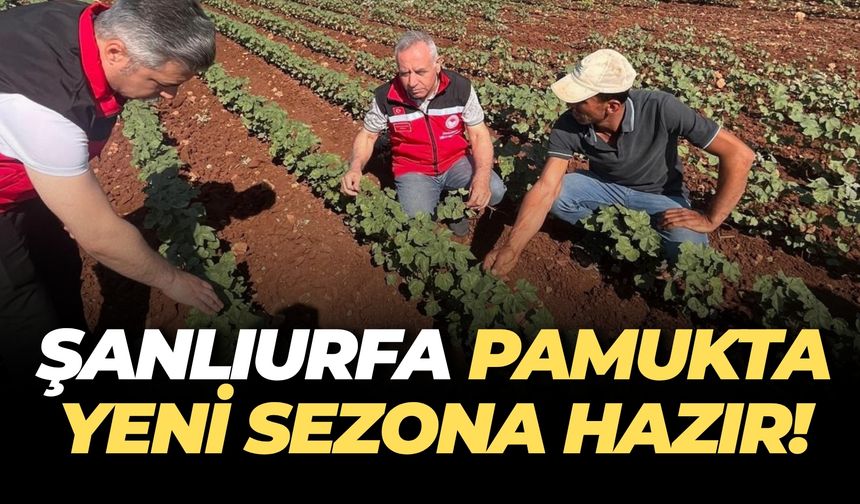 Şanlıurfa’da Pamuk Tarlalarına Teknik Çıkarma!