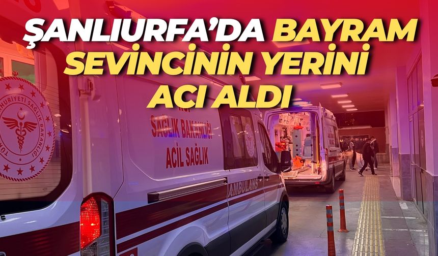 Şanlıurfa’nın Kurban Bayramı Bilançosu: 2 Ölü, 185 Yaralı