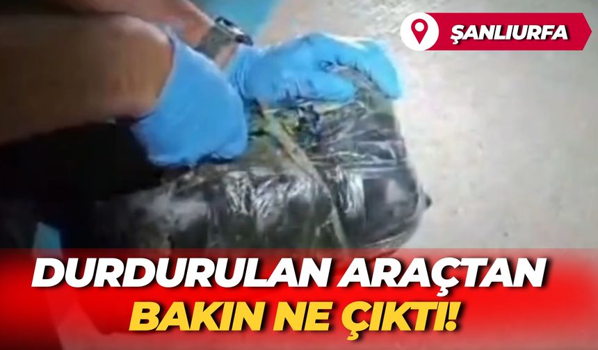 Şanlıurfa’da Durdurulan Araçtan Bakın Ne Çıktı!