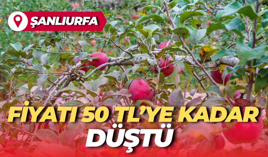 Şanlıurfa’da Fiyatı 50 TL’ye Kadar Düştü