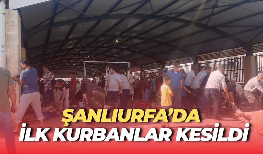 Şanlıurfa’da İlk Kurbanlar Kesildi