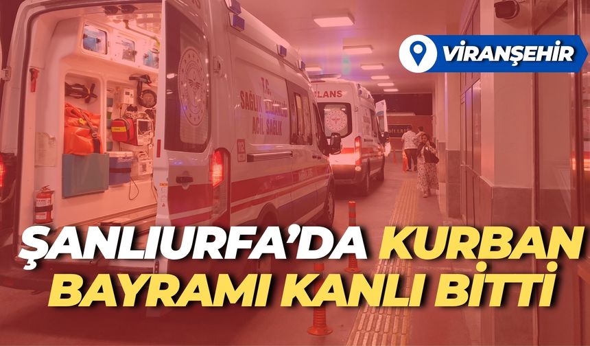 Kurban Bayramı’nda Şanlıurfa Karıştı: Akrabalar Taş ve Sopalarla Birbirine Girdi