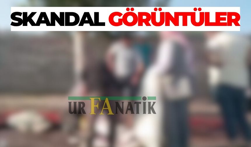 Şanlıurfa’da Kurban Bayramı’nda Skandal Görüntüler
