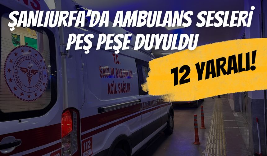 Şanlıurfa’da Kurban Bayramı’nın İlk Gününde 12 Kişi Hastanelik Oldu!