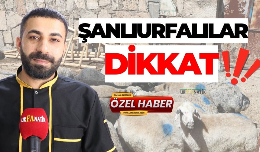 Şanlıurfalılar Dikkat! Kurban Bayramı’nda Bu Hataya Düşmeyin
