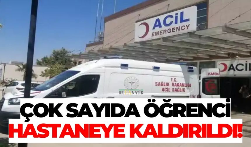 Şanlıurfa’da Çok Sayıda Öğrenci Hastaneye Kaldırıldı!