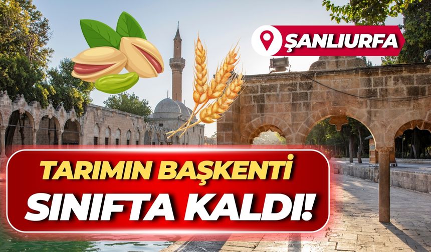 Tarımın Başkenti Şanlıurfa Sınıfta Kaldı!