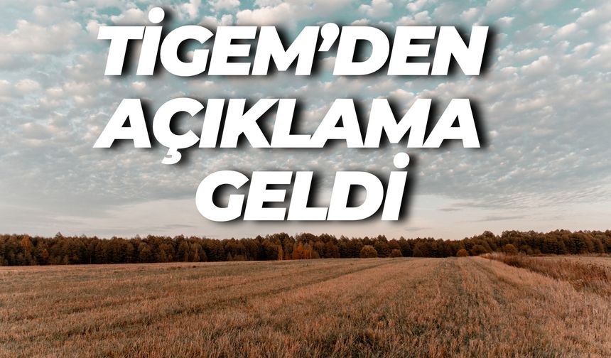 Ceylanpınar Arazileri Katar’a Kiralandı İddiasına TİGEM’den Açıklama