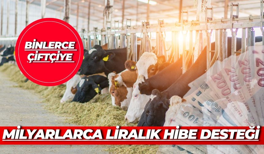 TKDK Müjdeyi Verdi: Binlerce Çiftçiye Milyarlarca Liralık Hibe Desteği