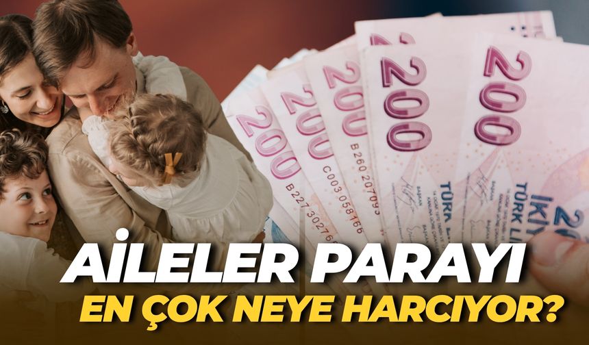TÜİK Açıkladı: Türkiye’de Aileler Parayı En Çok Neye Harcıyor?