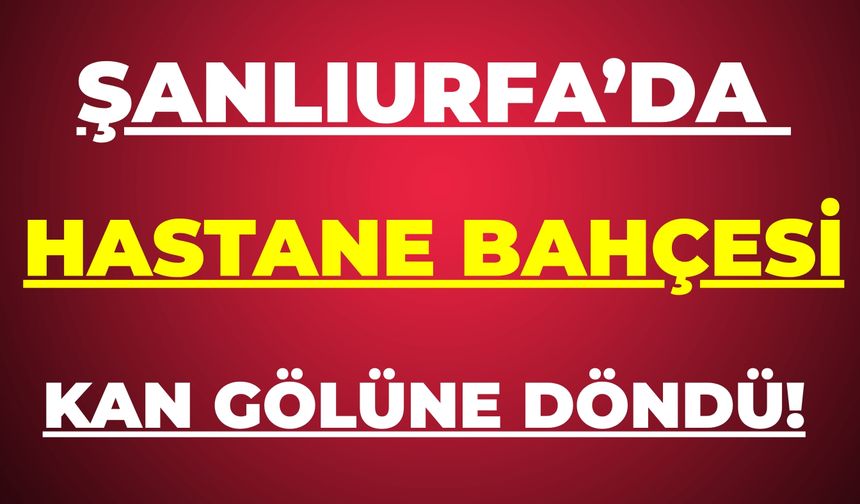Şanlıurfa'da Kan Döküldü: Aynı Aşiretin Evlatları Birbirine Girdi