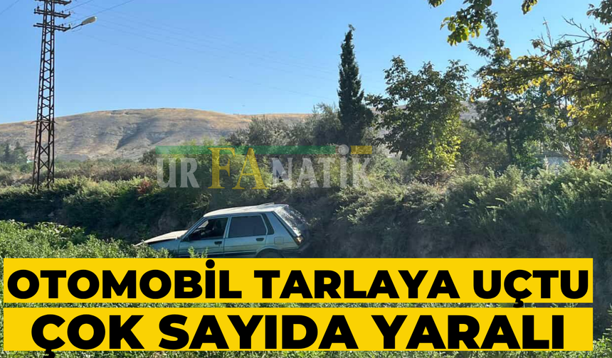 Şanlıurfa'da Otomobil Tarlaya Uçtu: Çok Sayıda Yaralı Var