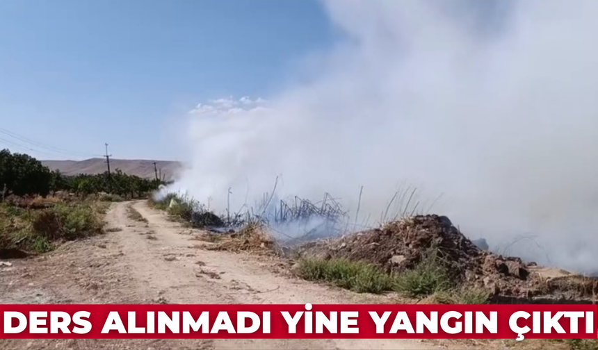 Orman Yangınlarından Ders Alınmıyor: Şanlıurfa’da da Yangın