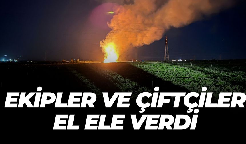 Nane Tarlasını Alevler Sardı! Şanlıurfa’da Korku Dolu Anlar