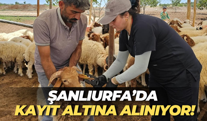 Şanlıurfa’da Kayıt Altına Alınıyor!