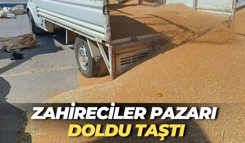 Buğday Bitti, Beklenti Bitmedi: Şanlıurfa’da Fiyat Krizi Kapıda