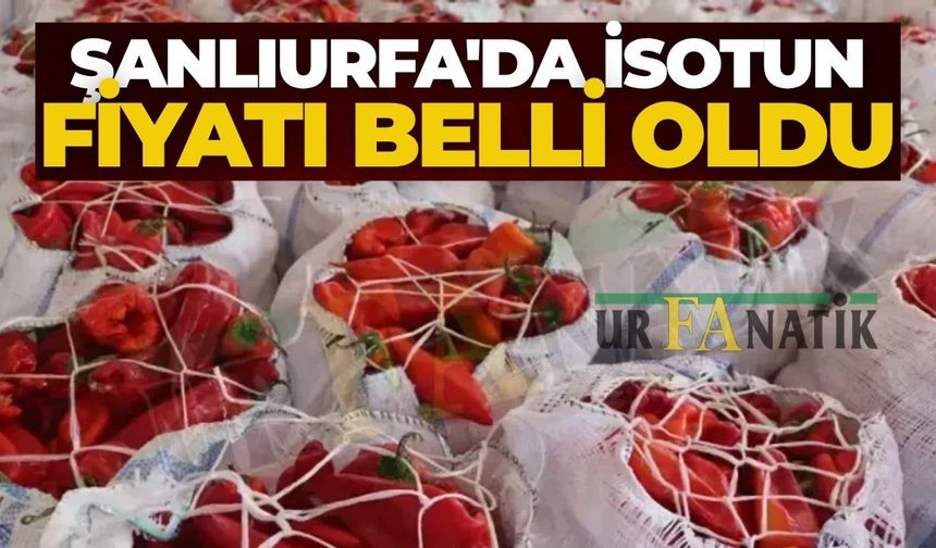 2025 Şanlıurfa İlk Hasat Kırmızı İsot Fiyatları Belli Oldu